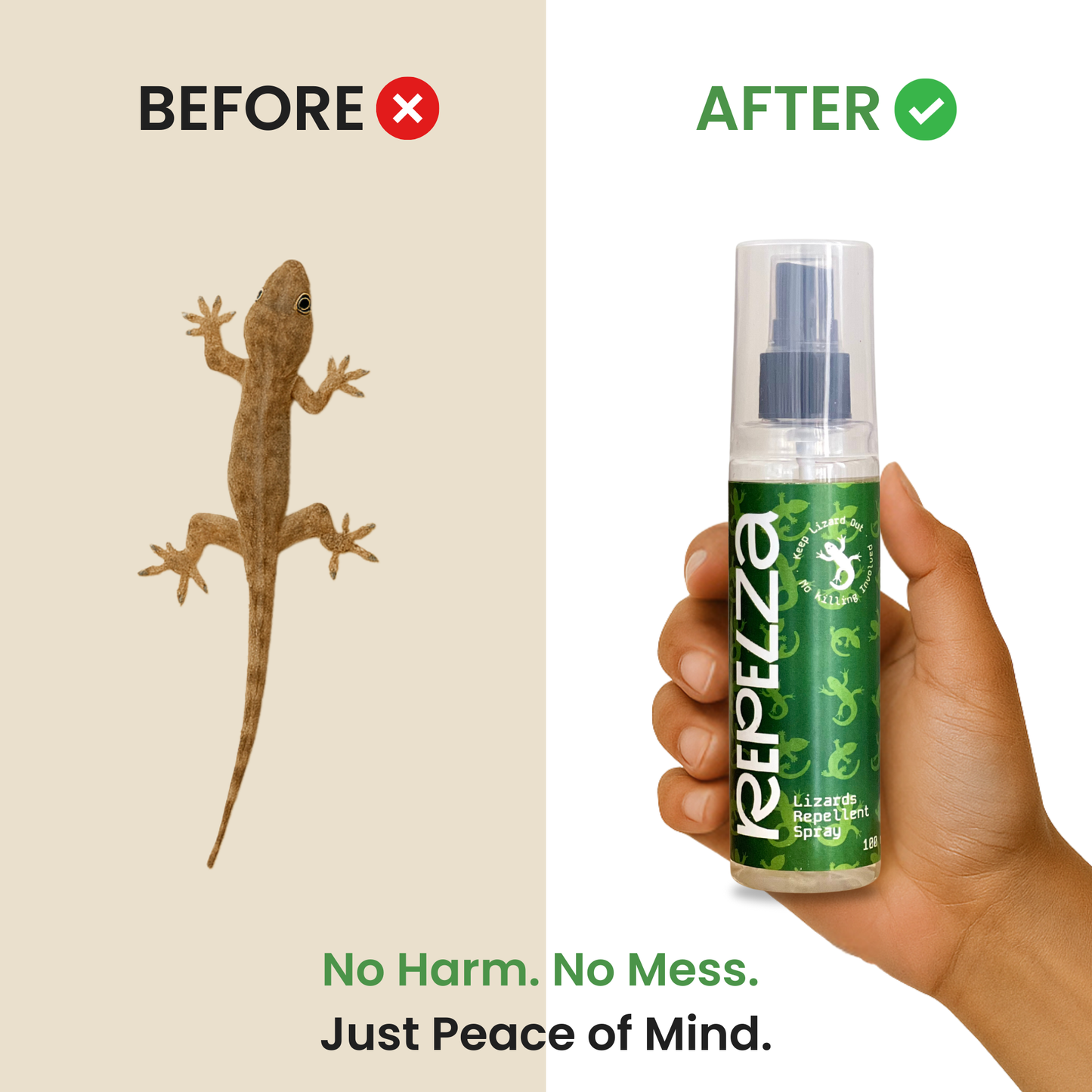Lizard repellent