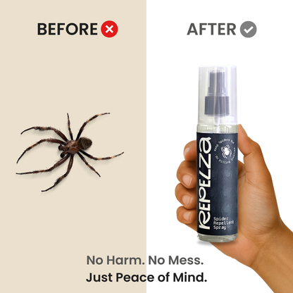 Spider repellent
