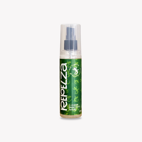 Lizard repellent